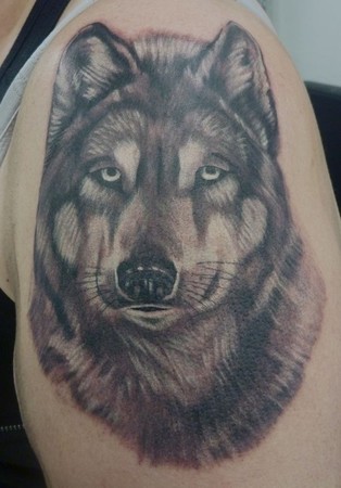 Tattoos - Artic wolf - 48946